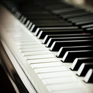 女人和非洲黑人操逼舒服視頻
