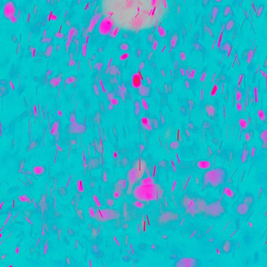 女人和非洲黑人操逼舒服視頻
