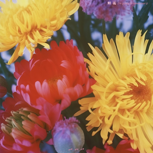 女人和非洲黑人操逼舒服視頻
